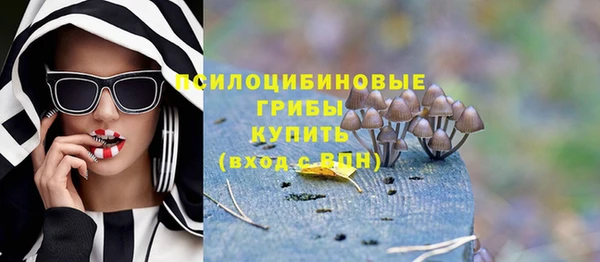 PSILOCYBIN Абдулино