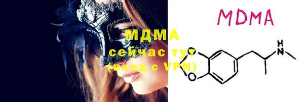 индика Грязовец