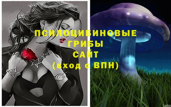 амф Приозерск